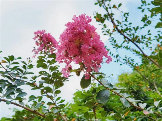 呼吸鮮氧,踐行公益——廣東博皓公益活動(dòng):星溪線公益環(huán)保活動(dòng) -5