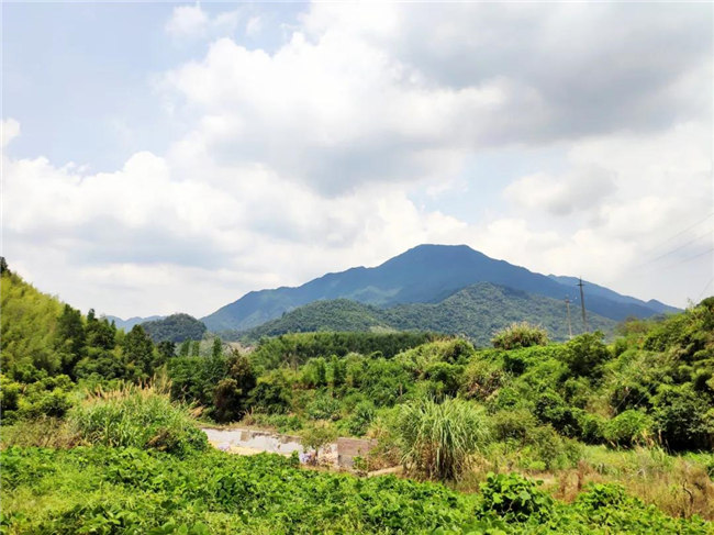 呼吸鮮氧,踐行公益——廣東博皓公益活動(dòng):星溪線公益環(huán)保活動(dòng) -6