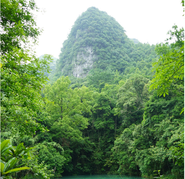 賞華夏大地,游多彩貴州--2021年廣東博皓快樂(lè)行-2