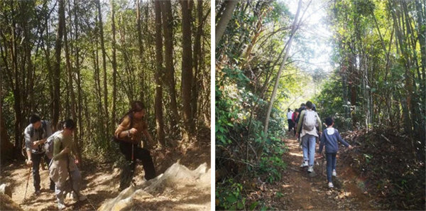 廣東博皓 博行天下丨虎年第一爬，挑戰從化老虎頭   -2