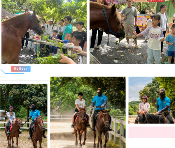 廿載博皓盛夏日,親子相伴歡樂(lè)行—2024年廣東博皓親子游 -7